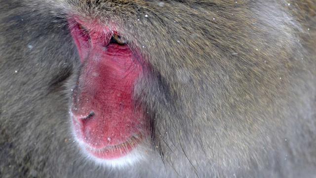 Abra sua loja virtual em Getulina