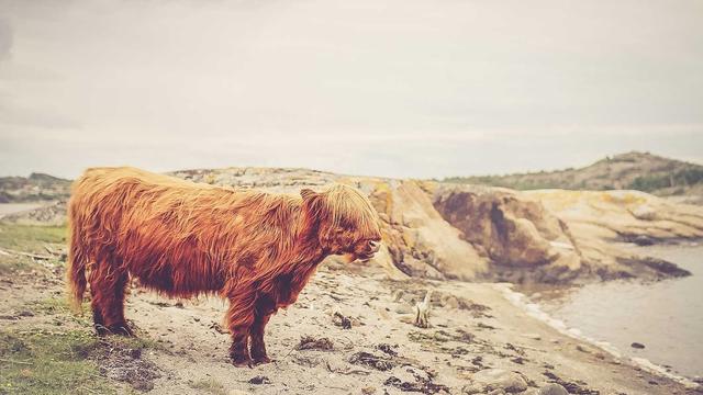 Abrir Franquia Web4Br em Paratinga