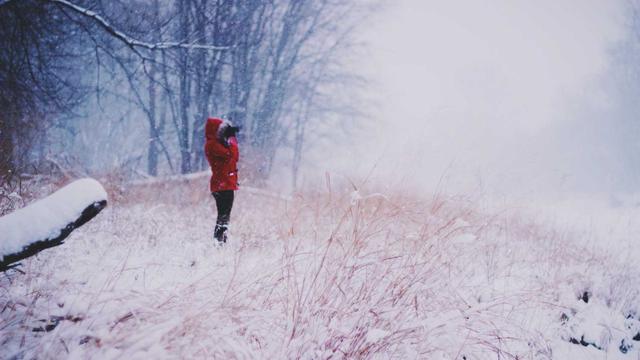 Abrir Franquia Web4Br em Patis