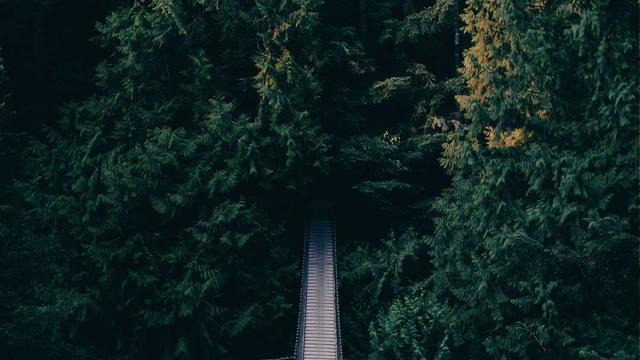 Abrir Franquia Web4Br em S�o Gon�alo
