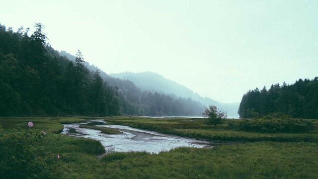 Abrir Franquia Web4Br em Severiano Melo