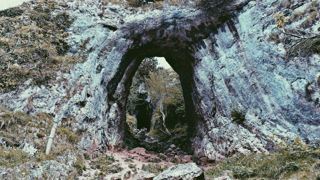 Abrir uma loja virtual em Joinville