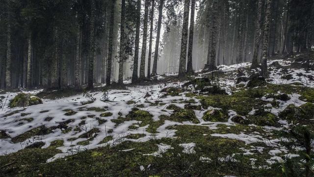 Adm sites em Urandi