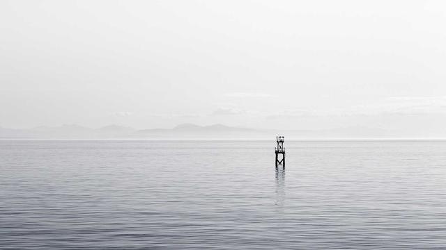 Administra��o de sites em Ch� Preta