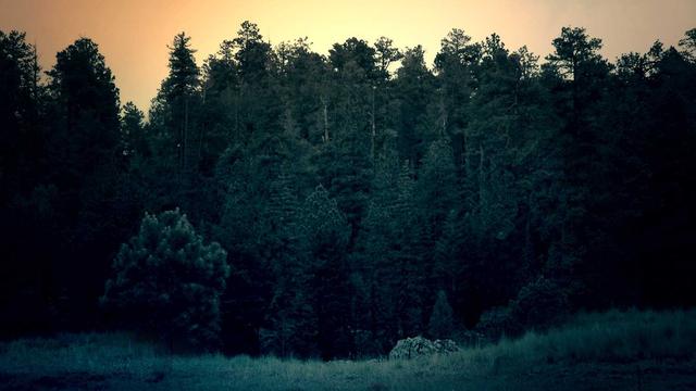 Ag�ncia comunica��o em Icatu