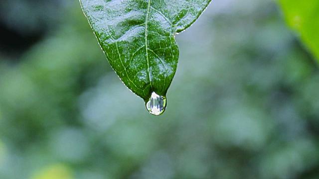 Ag�ncia comunica��o em Tabuleiro