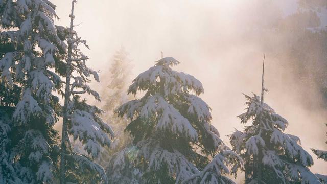 Ag�ncia de comunica��o em Caet�s