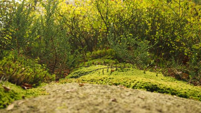 Ag�ncia de comunica��o integrada em Monte Mor