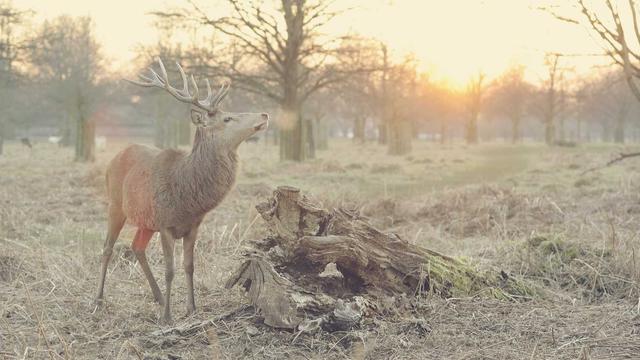 Ag�ncia de cria��o web em Pancas