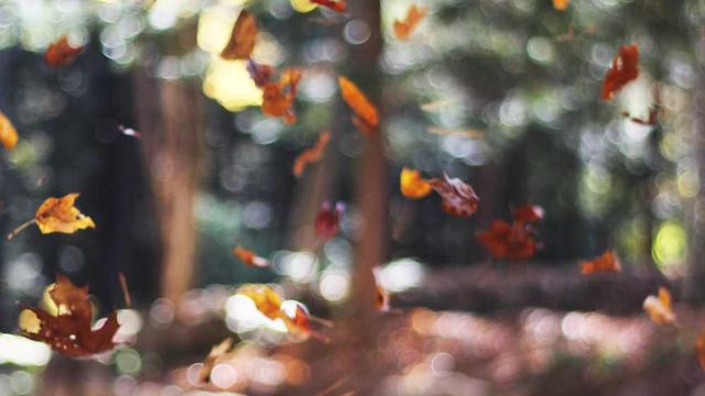 Ag�ncia de desenvolvimento web em Parelhas