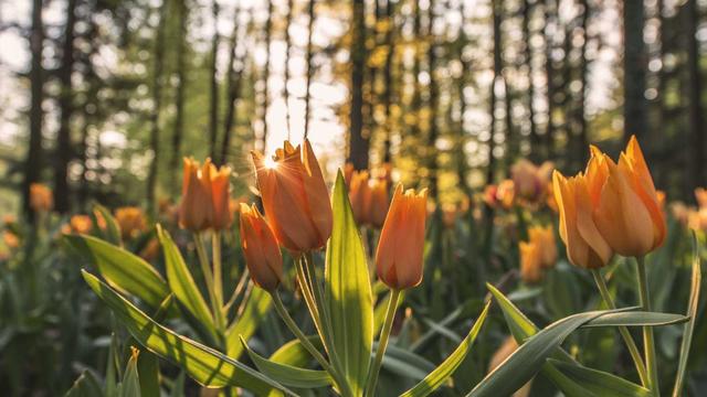 Ag�ncia de desenvolvimento web em Urua�u