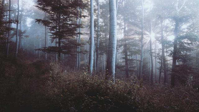 Agencia de design em Sooretama