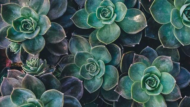 Atualizar site em Buriticupu