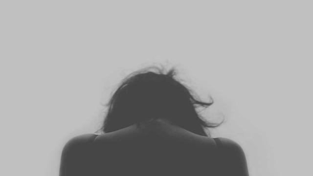 Brusque web em Gentil