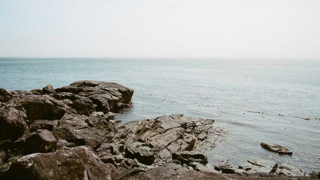 Brusque webdesigner local em Romel�ndia