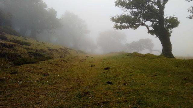 Comprar loja magento em Coronel Bicaco