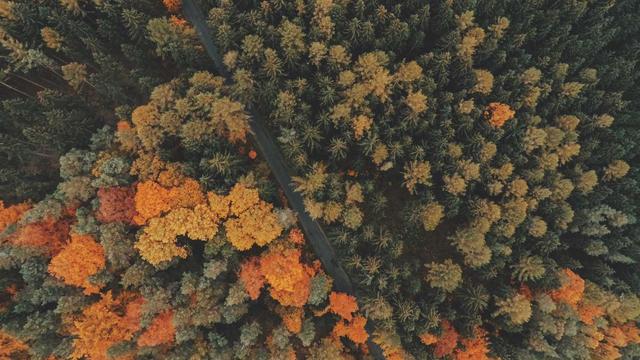Comprar Loja Magento em Guaratinguet�