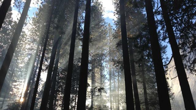 Comprar loja magento em Mau�