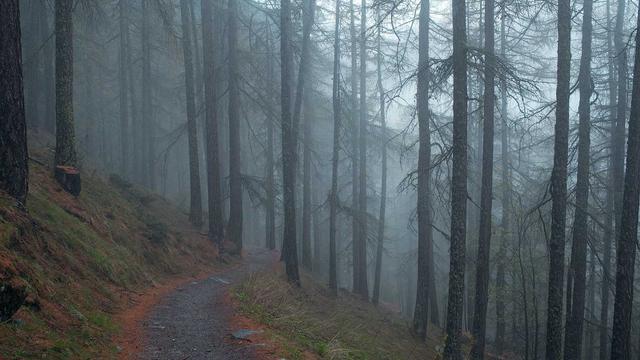Comprar loja magento em Princesa Isabel