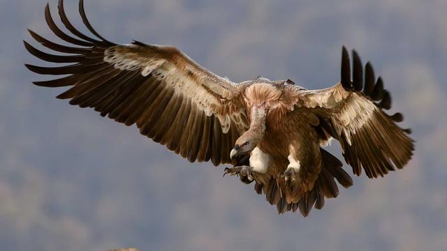 Comprar loja magento em Varre-Sai