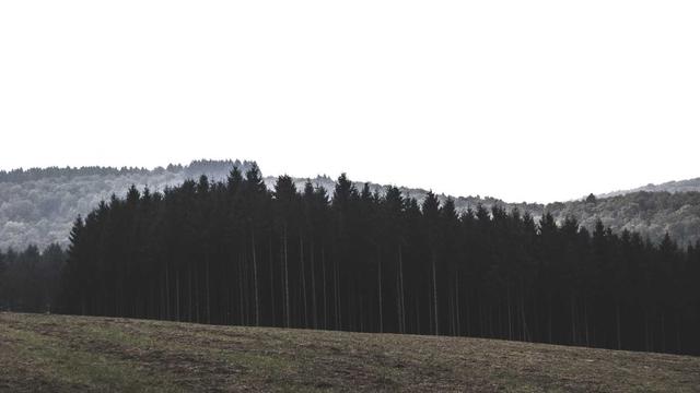 Comprar melhor site em Belmonte