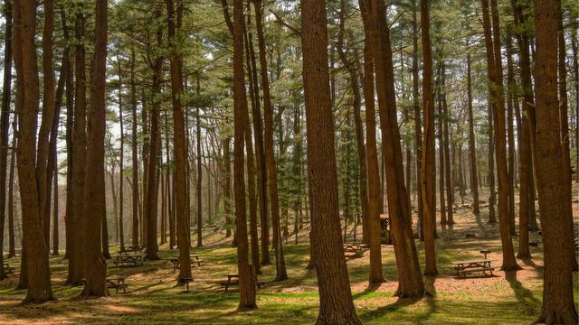 Comprar site de classificados em Limeira do Oeste