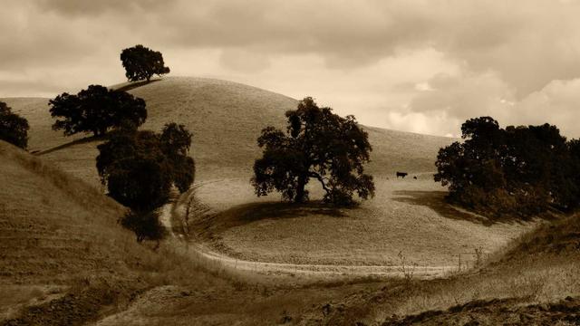 Comprar site de classificados em Luz