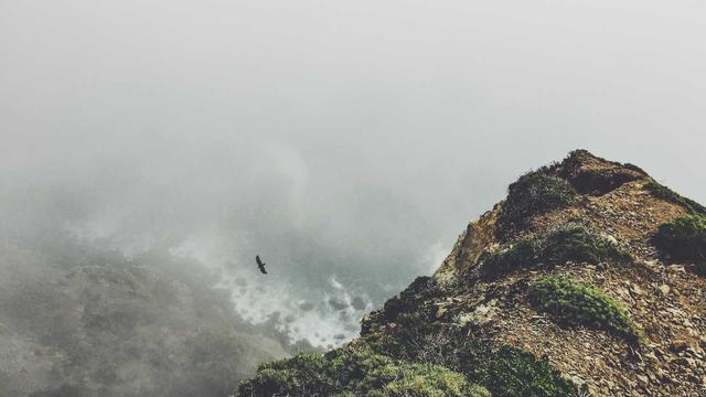 Comprar site de classificados em Ramil�ndia