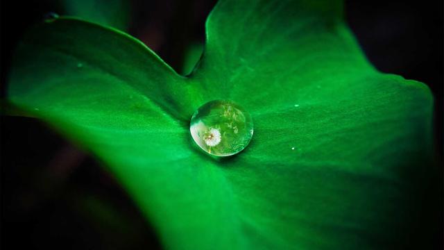 Comprar site ribeirao preto em Apuiar�s