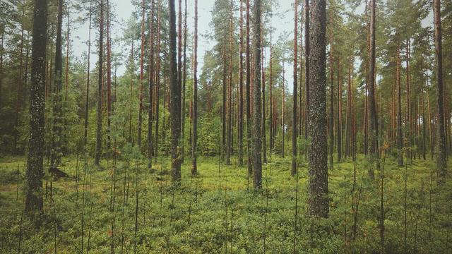 Constru��o Web Sites em Panelas