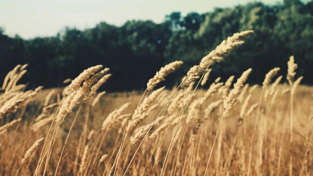 Construcao website em Anguera