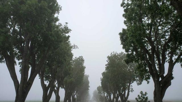 Construcao website em Murici