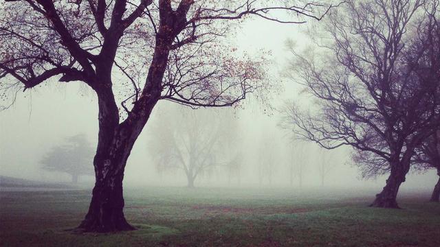 Construcao website em Rio Sono