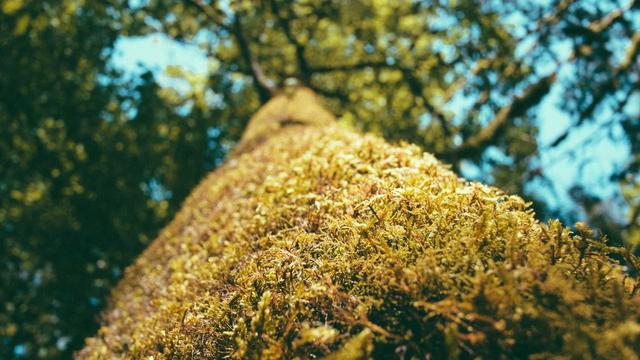 Construcao website em S�o Jos� do Herval