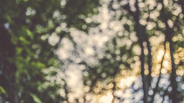 Criar aplicativo em Nova Ara��