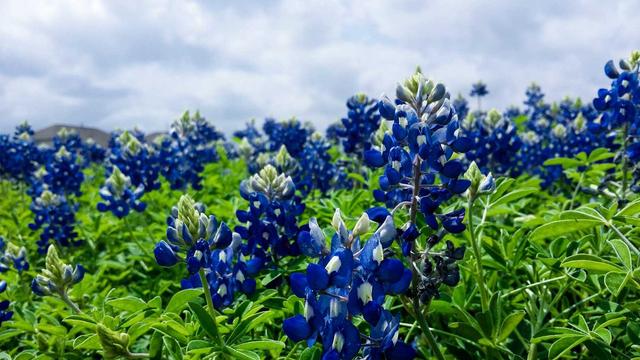 Criar site camboriu em Aparecida do Taboado