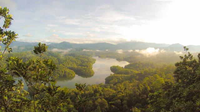 Criar site comercio eletronico em Coroaci