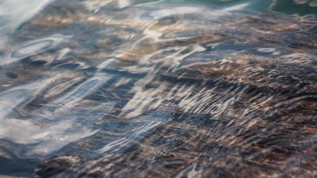 Criar site de classificados em Guatapar�