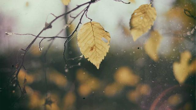 Criar site de empresa em Perdizes
