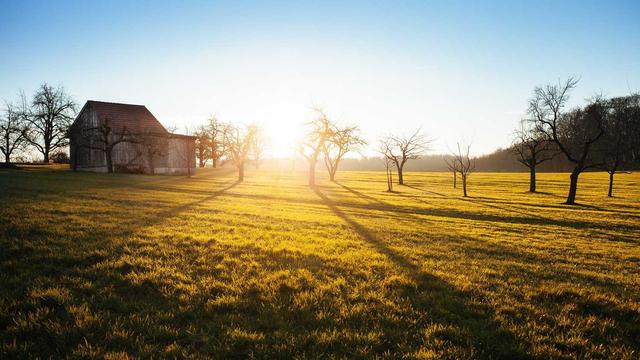 Criar site de loja em Palmeirina