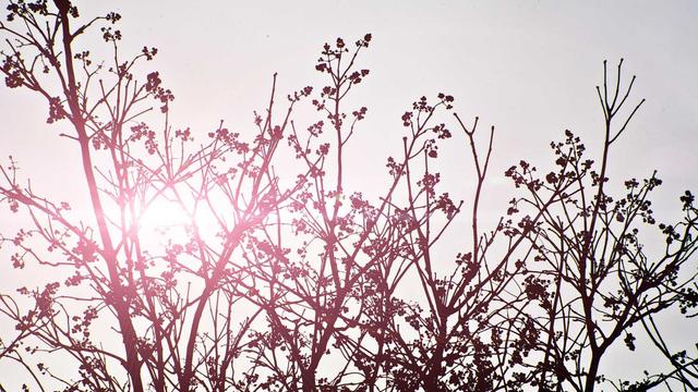 Criar site de um centavo em Itabaianinha