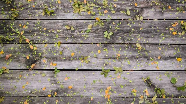 Criar site dinamico em Arapongas