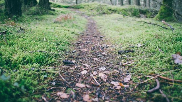 Criar site dinamico em Bertioga