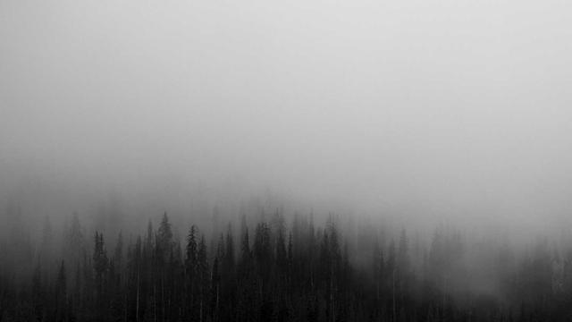Criar site e-commerce em Astolfo Dutra