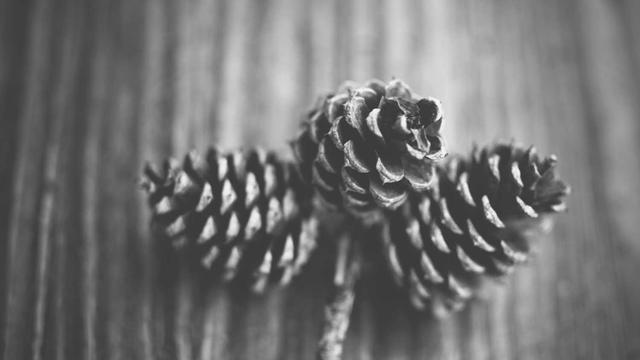 Criar site e-commerce em Guarinos