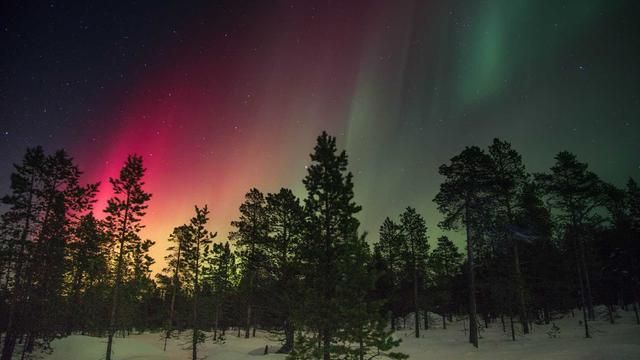 Criar site e logomarca em Cambar�