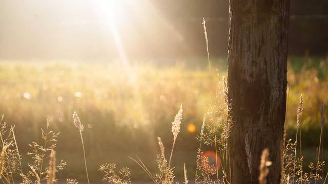 Criar site e logomarca em Congonhinhas