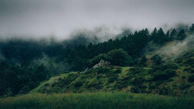 Criar site e logomarca em Nova Lima
