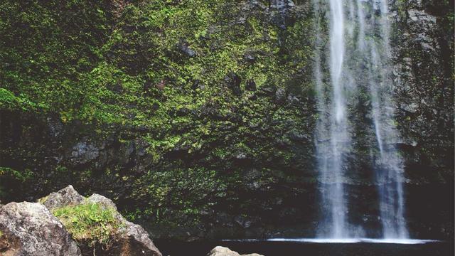 Criar site e logomarca em Satuba