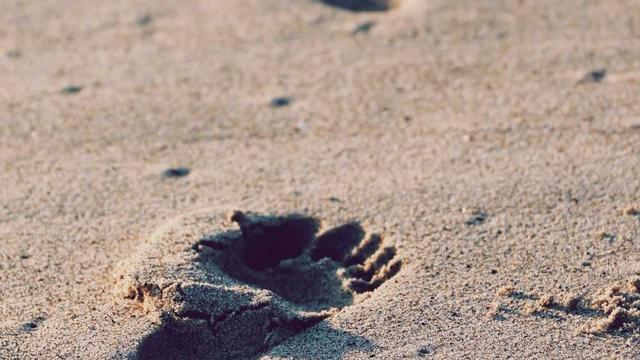 Criar site em Bra�o do Norte